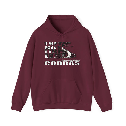 Unisex Heavy Blend™ Hooded Sweatshirt 'They Not Like Us" SEC Cobras-Adult